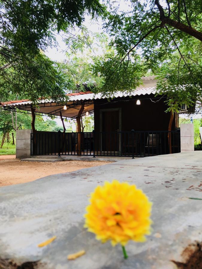 The Summer Corridor - Kataragama Exterior photo